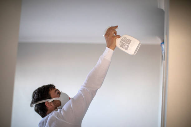 Best Office Mold Removal Services  in Godfrey, IL